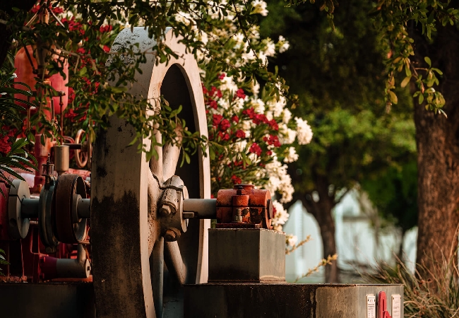 A close up of a wagon wheel surrounded by white and crimson flowers.