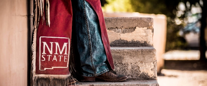 A closeup of a workman's pant leg, boot, and NMSU-branded red leather chaps on a stone step.