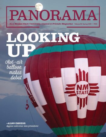 Cover image of balloon