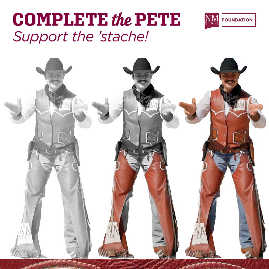 Complete the Pete