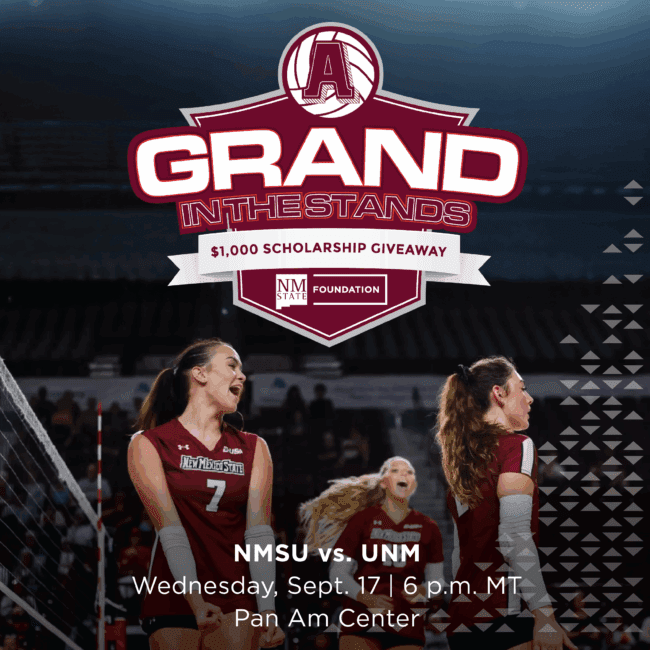 Grand in the Stands Volleyball