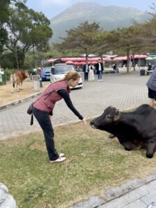 Lori Keleher ’97, Ph.D, Hong Kong 2024 making friends with a bull in Ngong Ping Piazza