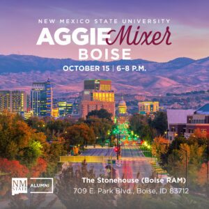 Boise Mixer